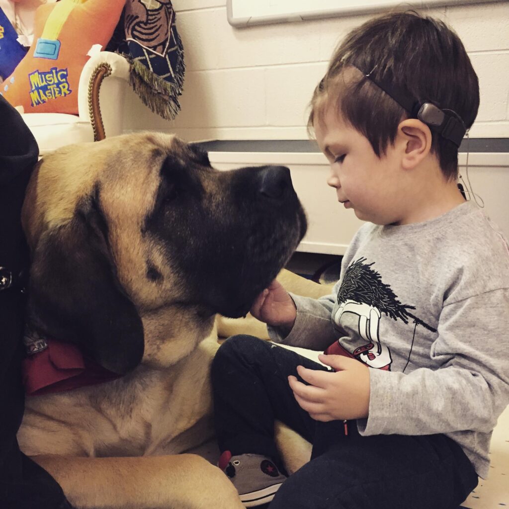 Dean as a three year old visiting with a giant mastiff therapy dog.